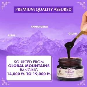 Pure Shilajit Resin Form With Ashwagandha 10g Pack 1 - Enhance Physical Strength