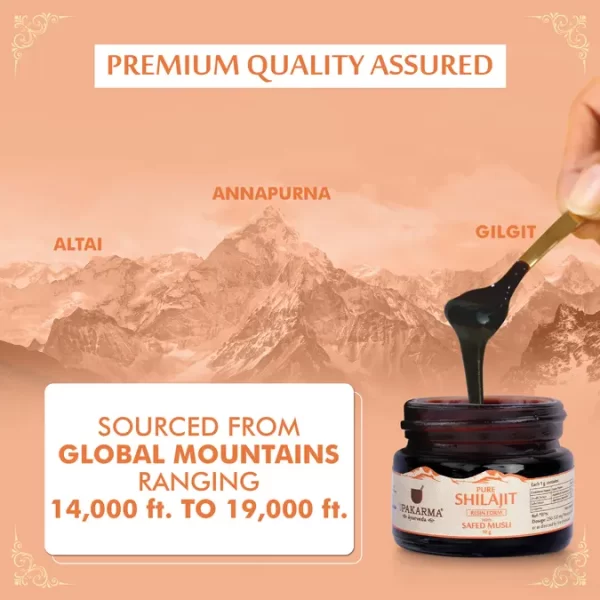 Pure Shilajit Resin Form With Safed Musli - Natural Strength & Stamina Booster