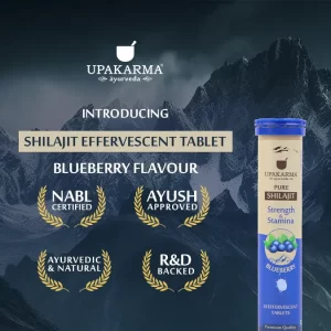 Pure Shilajit Effervescent Tablets- Blueberry Flavour Pack 1