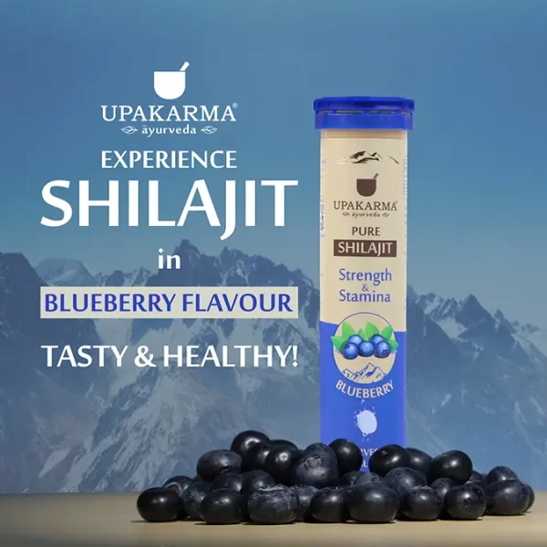 Pure Shilajit Effervescent Tablets- Blueberry Flavour Pack 1