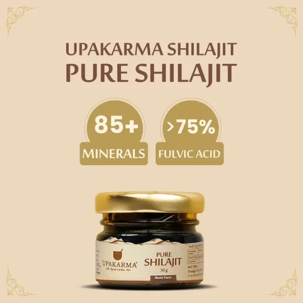 Combo Pack of Shilajit / Shilajeet Resin 30g & Afghani Kesar 1g