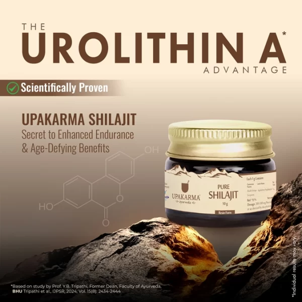 Combo Pack of Shilajit Resin 10g & Kesar 1g - Best Selling Combo